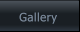 Gallery Gallery